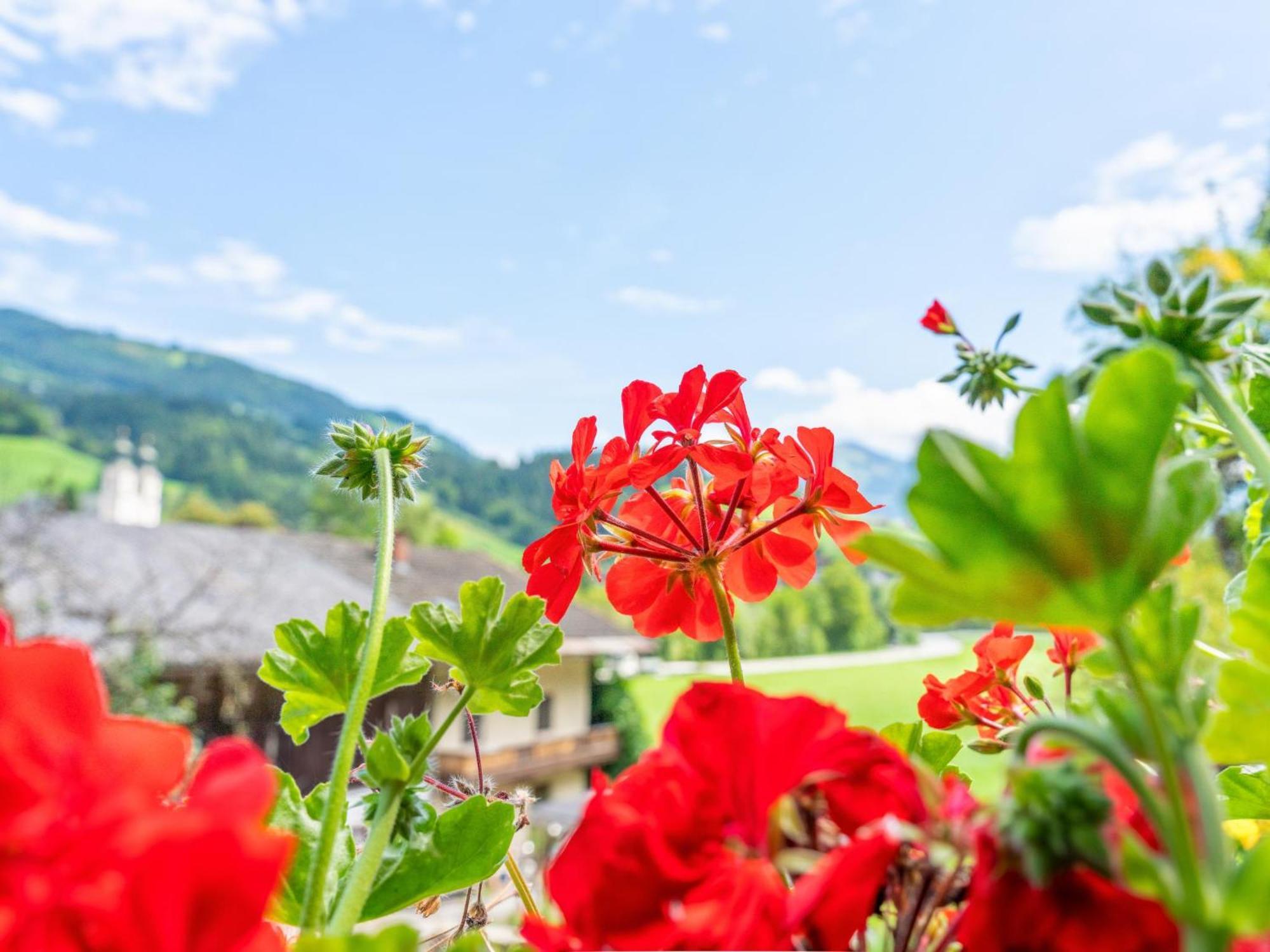 Villa Alte Grafenmuehle Hopfgarten im Brixental Exterior foto
