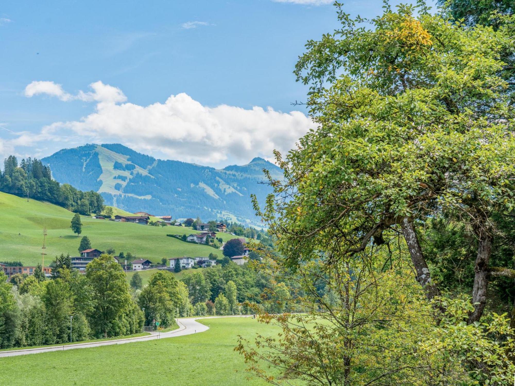 Villa Alte Grafenmuehle Hopfgarten im Brixental Exterior foto